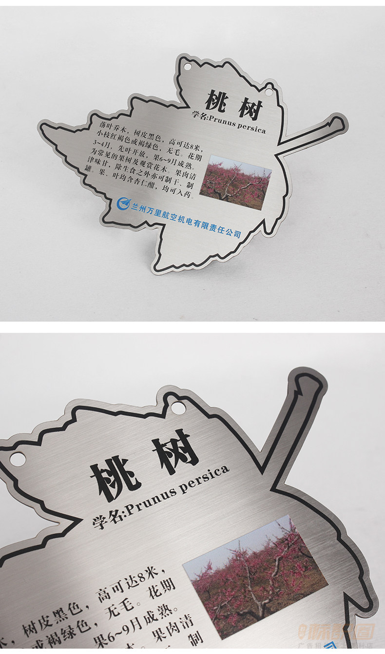 不锈钢金属树木标识牌定制树木花草介绍标牌园林花草树木标识牌定制